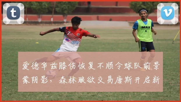 爱德华兹膝伤恢复不顺令球队前景蒙阴影，森林狼欲交易唐斯开启新篇章